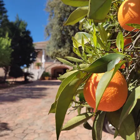 Casa vacanze Casa Maleda