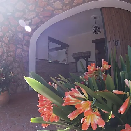 Holiday home Casa Maleda Hornachuelos